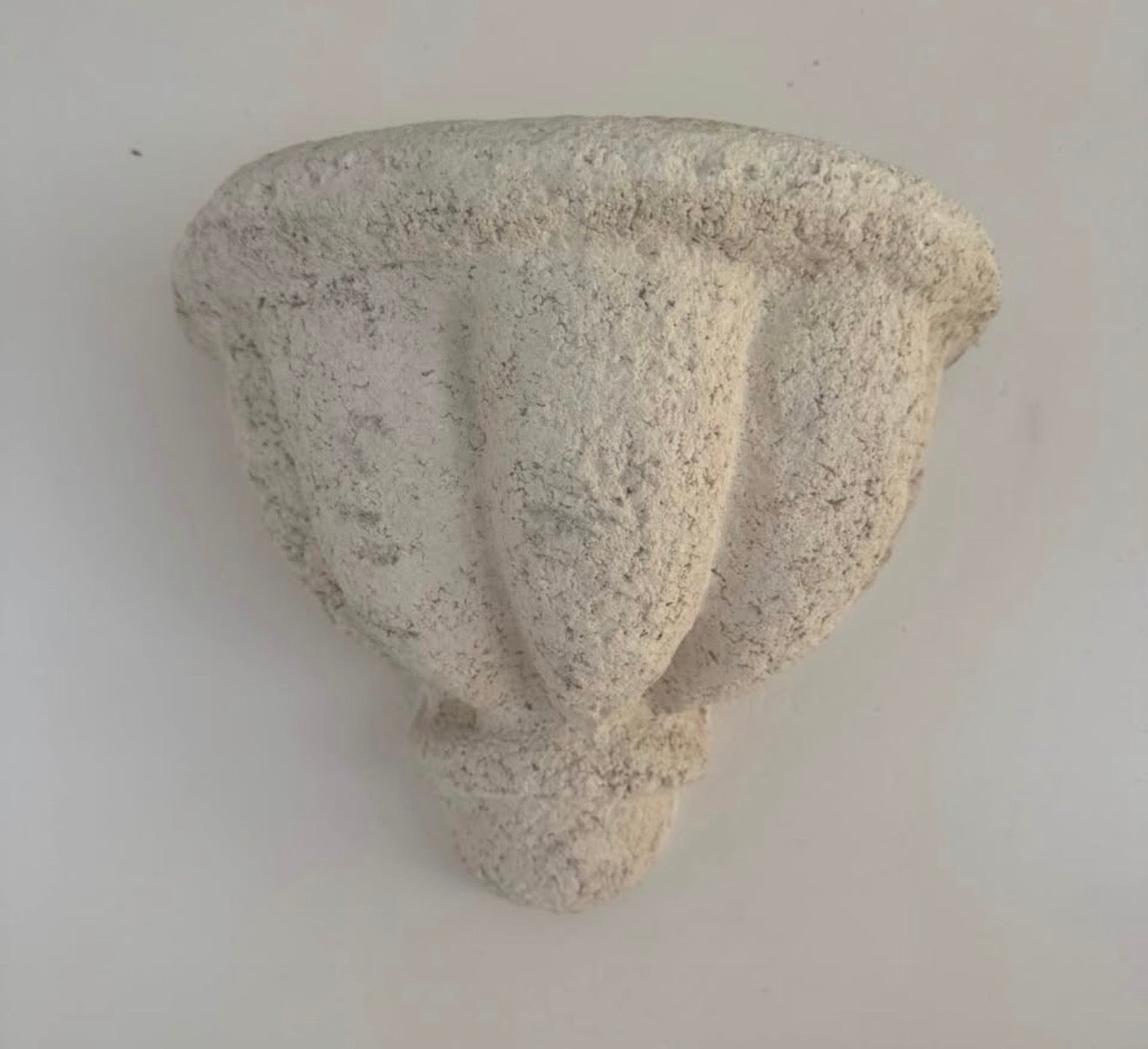 Set of 4 Coral Wall Scones
