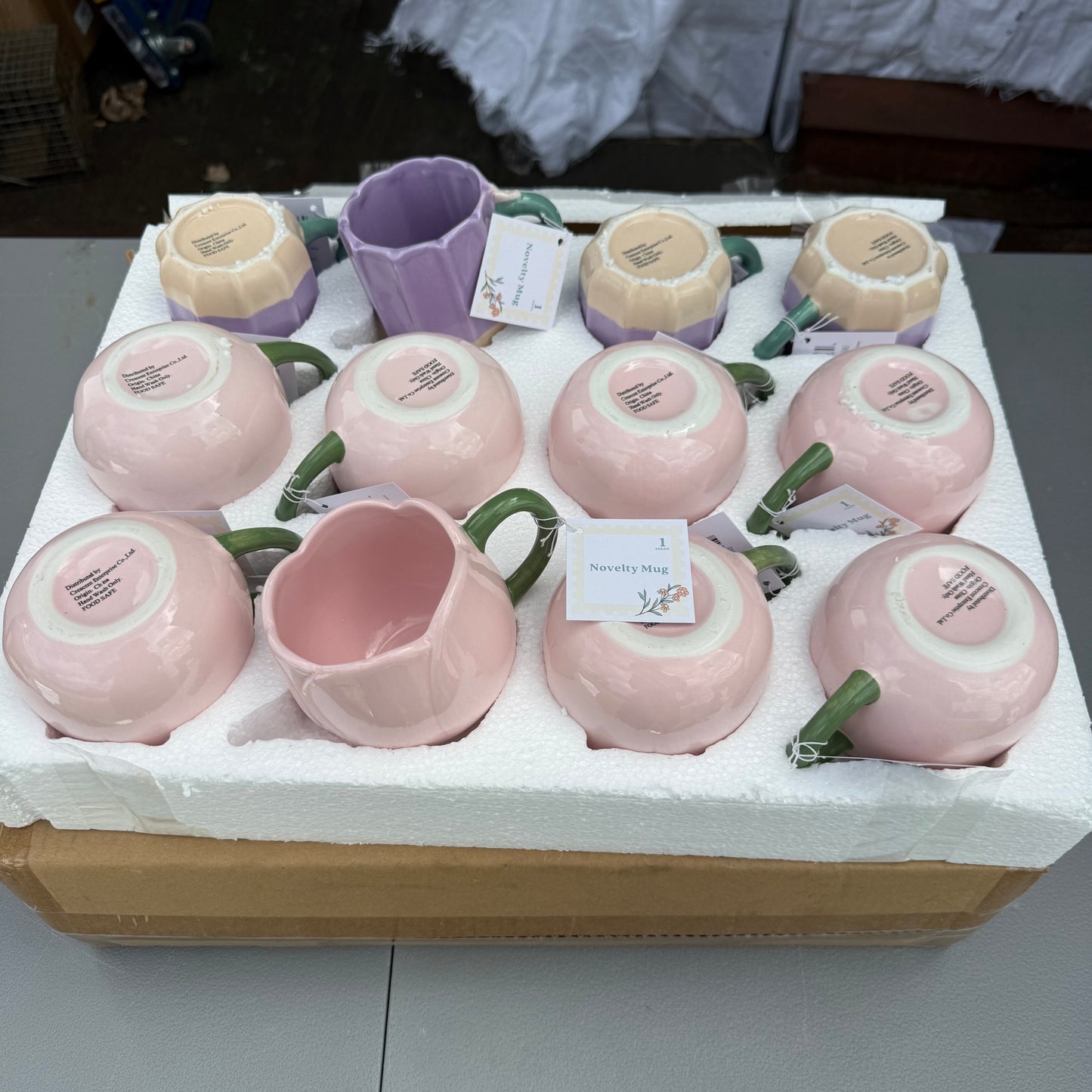 Set of 12 Novelty Mugs