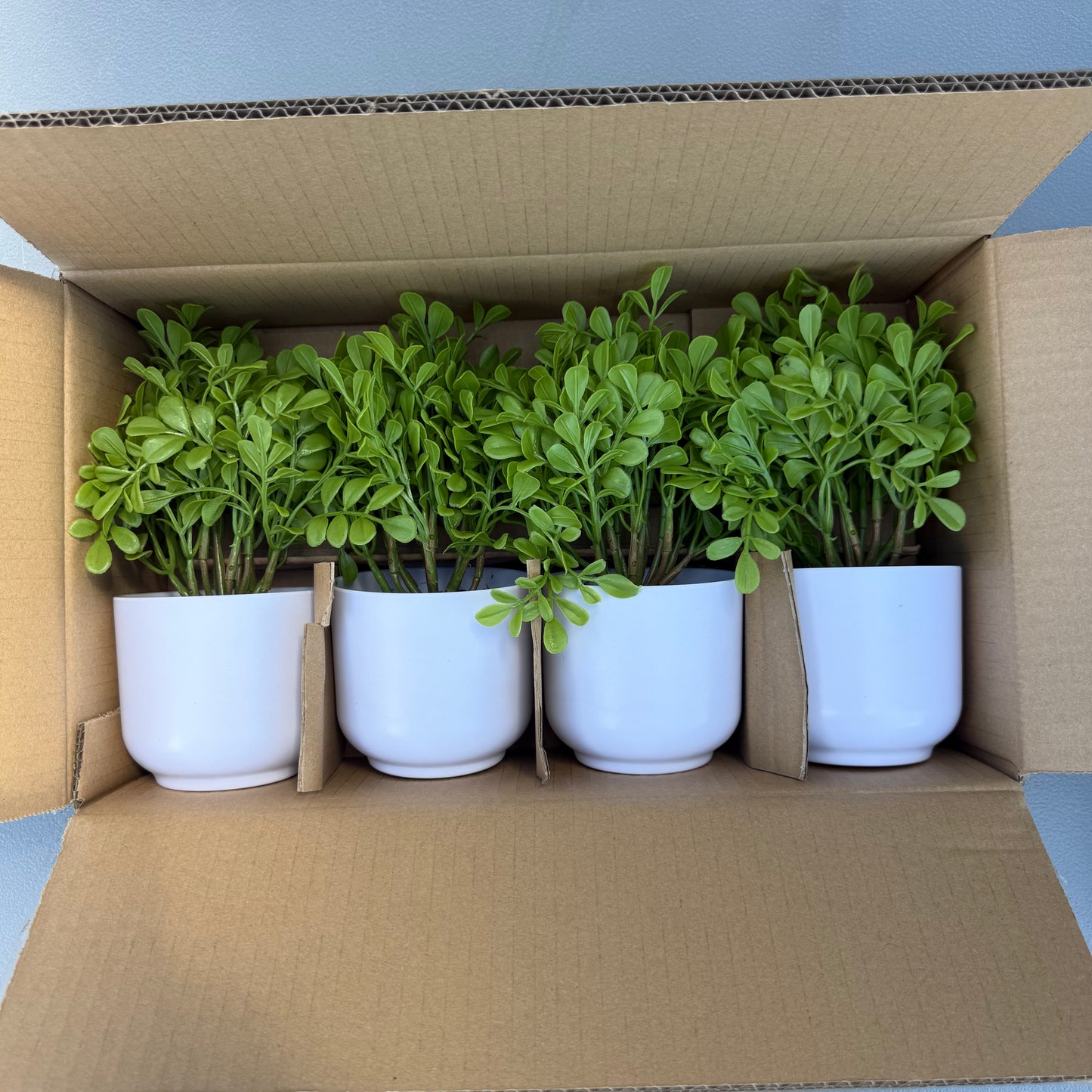 Box of 4 Articial Boxwood Plants - Threshold™: Indoor Faux Greenery, Melamine Pot, Tabletop Decor, 4.3" Height