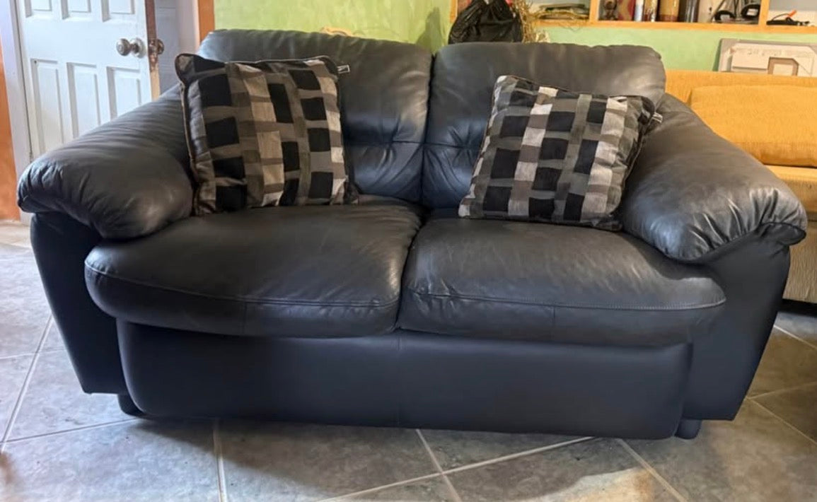 Genuine Leather Loveseat Sofa