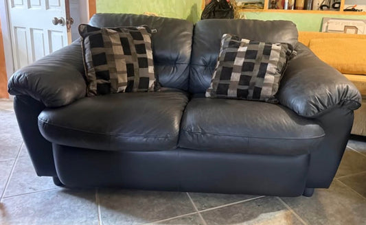 Genuine Leather Loveseat Sofa