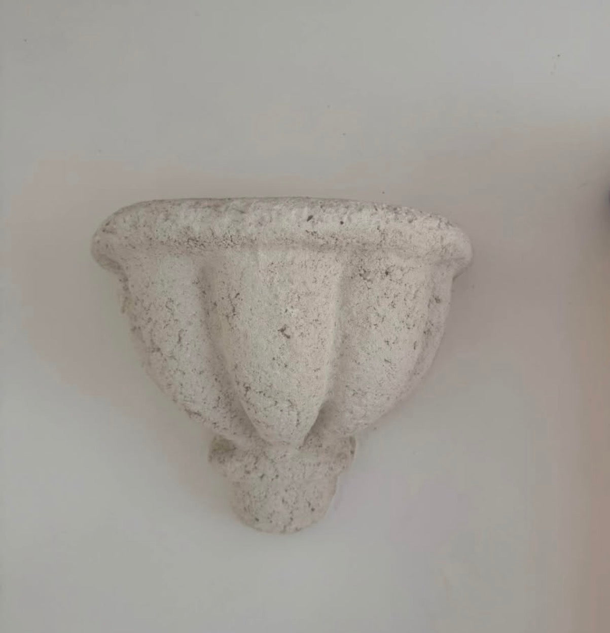 Set of 4 Coral Wall Scones