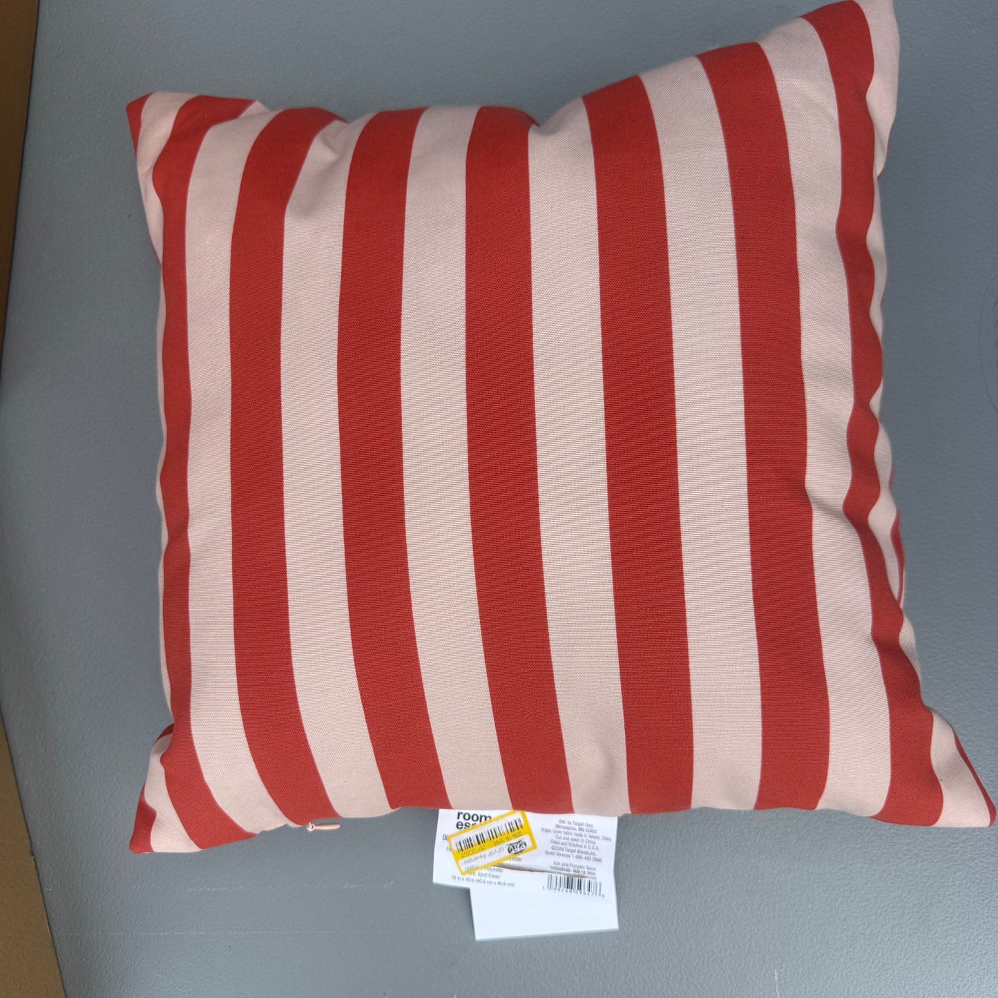 16"x16" Square Reversible Cabana Stripe Outdoor Throw Pillow - Room Essentials™